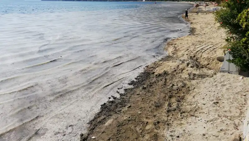 Müsilajla Mücadelede Yeni Dönem: 268 İşletme Faaliyetlere Ara Verdi