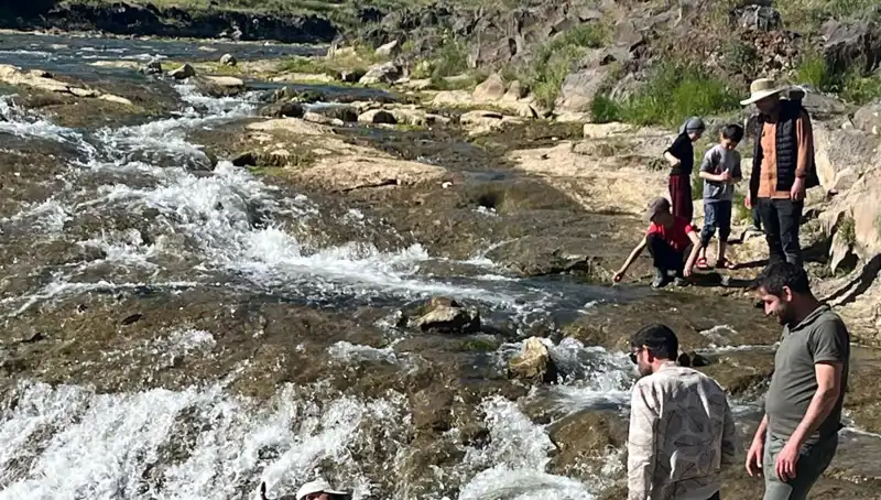 İnci Kefalinin Muhteşem Göçü: Doğanın Bu Eşsiz Olayı Büyülüyor