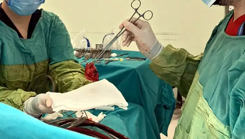Kalp Kapağı Çürüyen Hastaya Yapılan 7 Saatlik Ameliyatın Ardından Mucizevi İyileşme