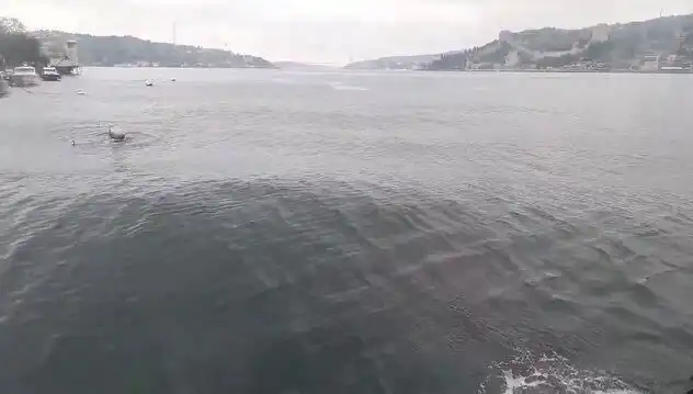 İstanbul Boğazı'nda Yükselen Dalgalar, Hayatı Olumsuz Etkiliyor