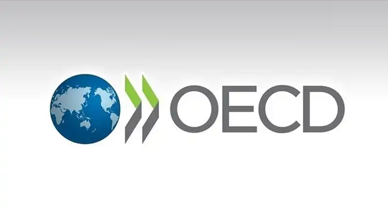 OECD, Türkiye’nin Ekonomik Büyüme Tahminini Revize Etti: 2024 Yılı İçin Beklentiler