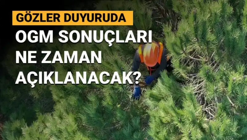 OGM Personel Alımı Duyurusu: 3.477 Sözleşmeli Personel Başvuruları Hakkında Bilgiler