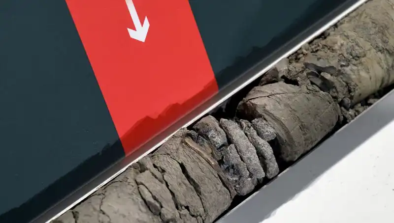Müze Otoparkında Geçmişe Yolculuk: Dinozor Fosili Bulundu!