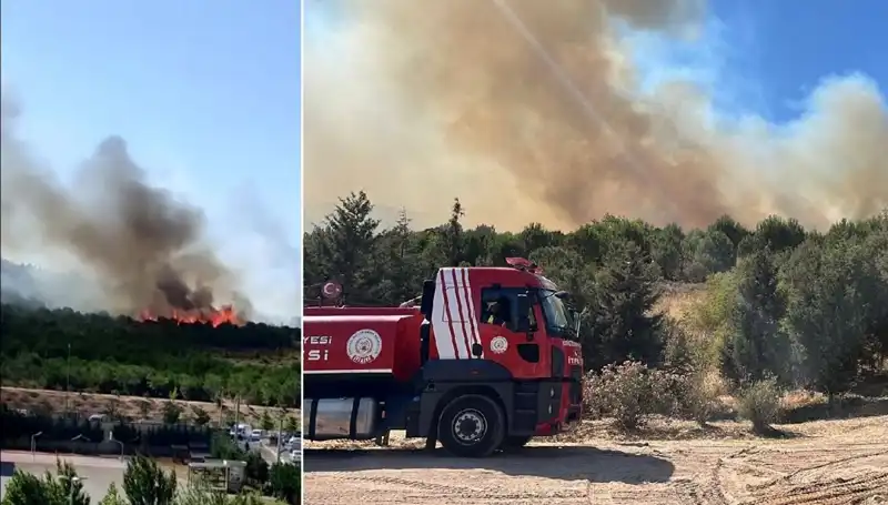 Gebze'de Korkutan Orman Yangını: Sebebini ve Etkilerini Öğrenin