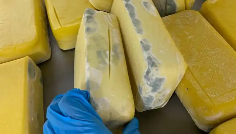 Peynirin İçinden Çıkan Sır: Bir Gourmet Şaşkınlığı