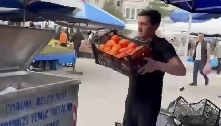 Domatesleri Çöpe Dökme Ceza Rekoru: Pazarcı Şoke Oldu!