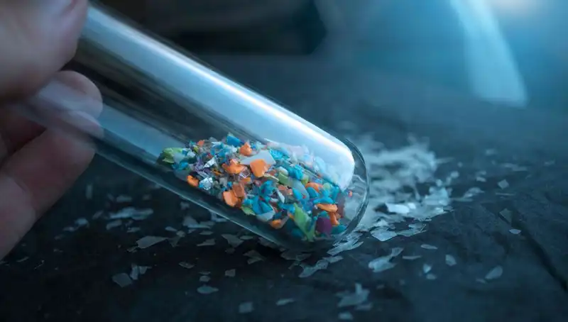 Mikroplastikler Beynimizde: Tehlikeleri ve Sağlığımıza Etkileri