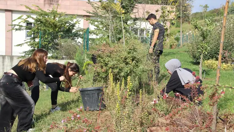 Düzce’nin Gurur Kaynağı: Hayalden Gerçekliğe Dönüşen Başarı Hikayesi