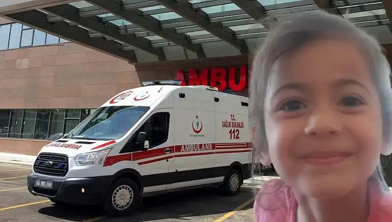 8 Yaşındaki Roza'nın Kaybı: Ailesinin Yaşadığı Zor Günler