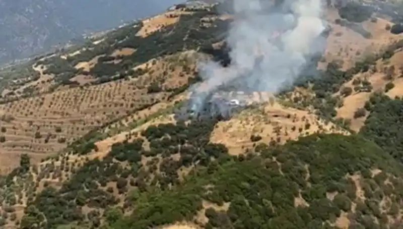 Aydın’da Zeytinlik Yangını: Doğayı Tahrip Eden Korkunç Olay