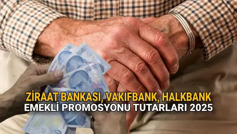 Kamu Bankalarından Emeklilere 2025 Promosyon Müjdesi: Ziraat, Vakıfbank ve Halkbank