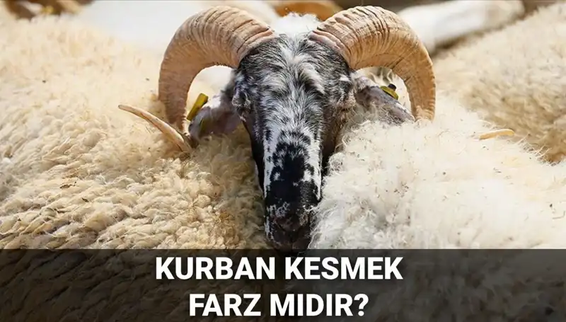 Kurban Kesmek Farz mı? Diyanet'in Görüşleri ve Şartları