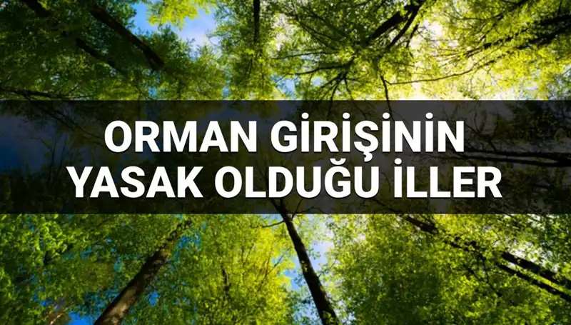 2025’te Ormana Giriş Yasağı Uygulanan İllerin Detayları Açıklandı