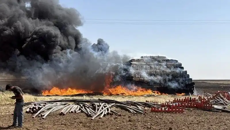 Mardin’deki Anız Yangınları: Doğaya Verilen Zarar ve Çözüm Önerileri