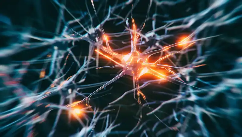 Alzheimer Vakalarındaki Artışın Sebepleri ve Gelecek Beklentileri